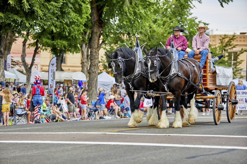 Horses pulling a wagon in a parade